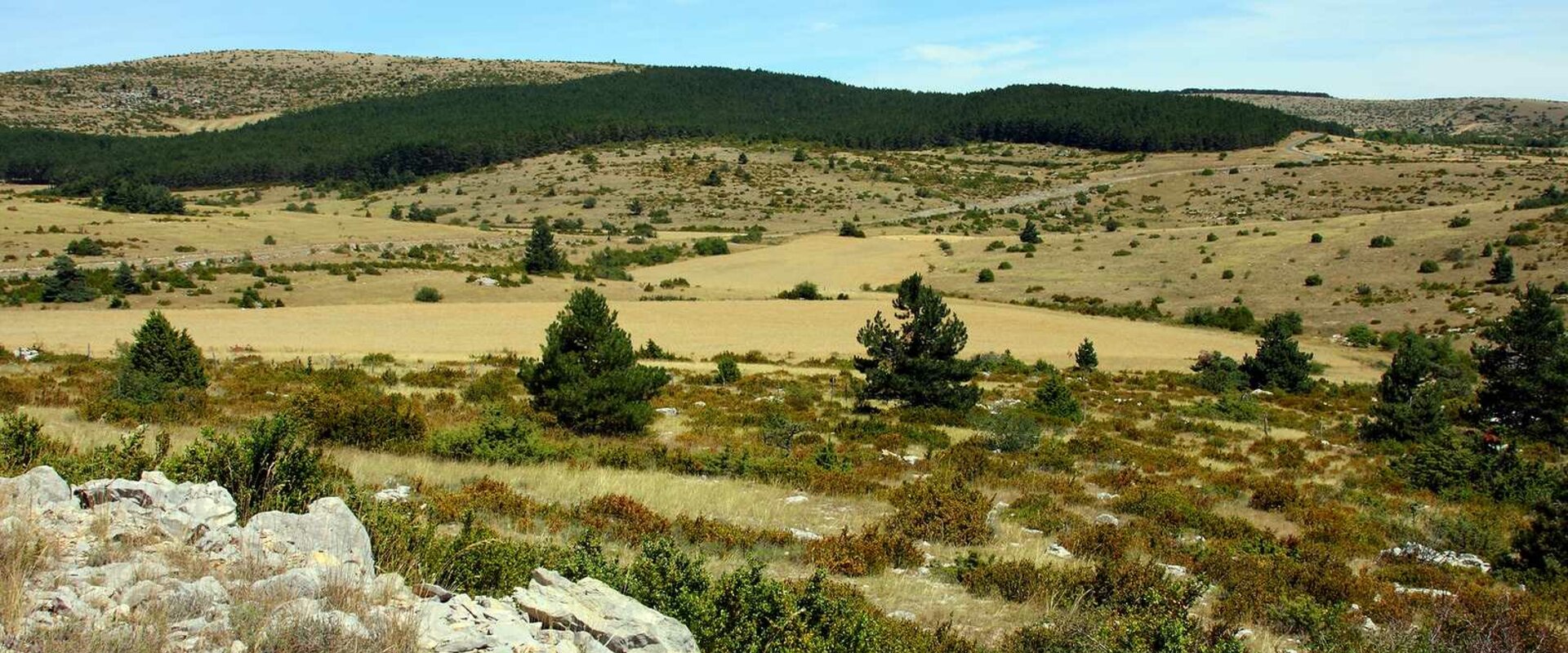 Commune des Gorges du Tarn Causses - Le hameau de Sauveterre