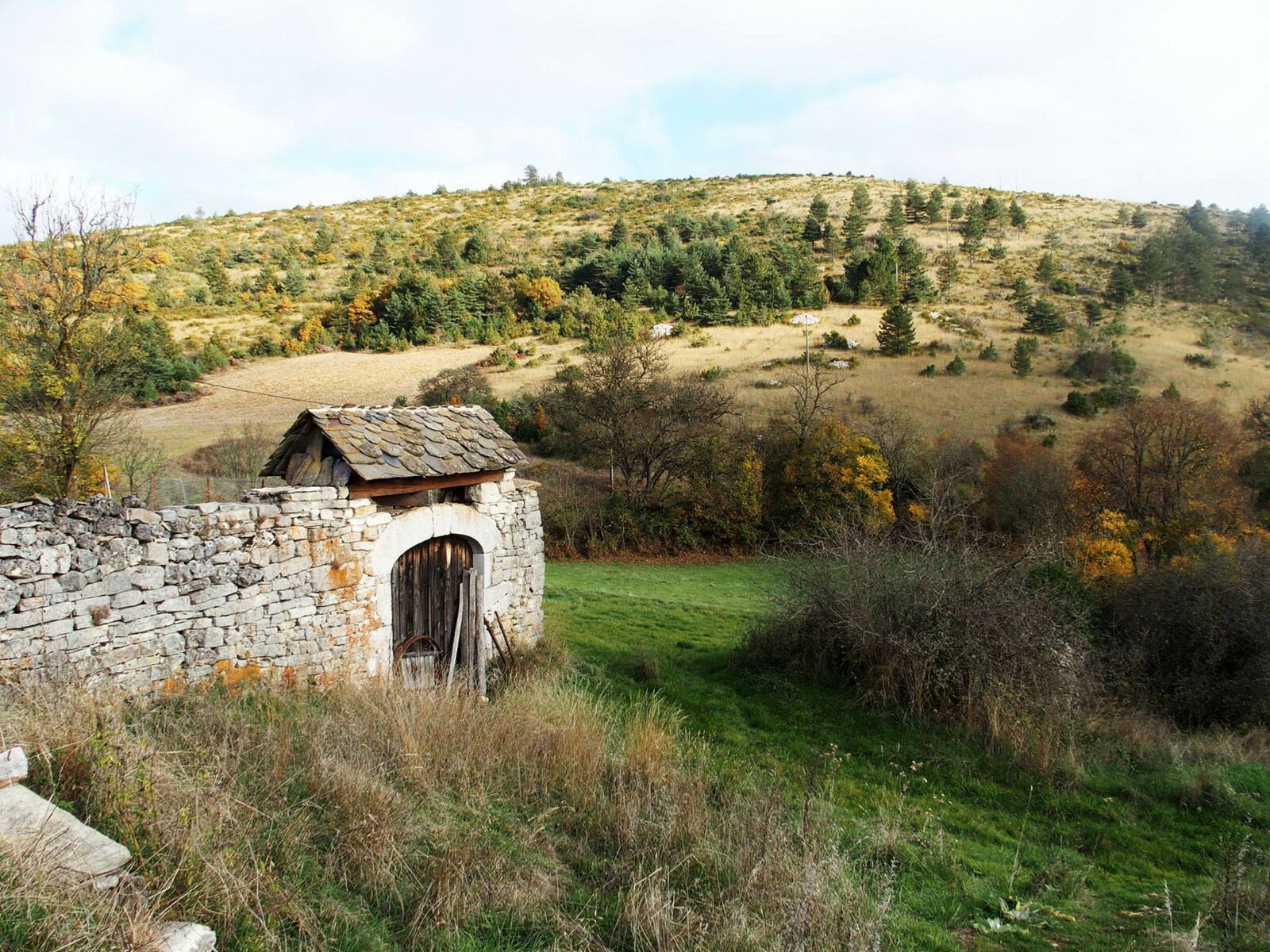 Description de l'image