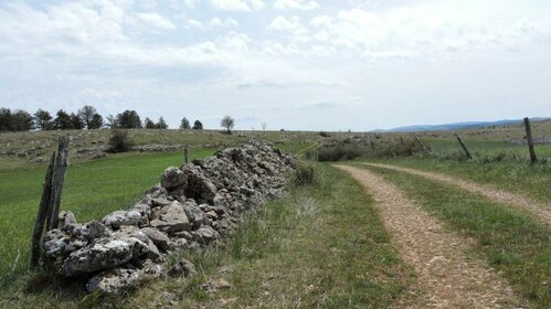 Sortie Vélo 