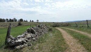 Sortie Vélo 